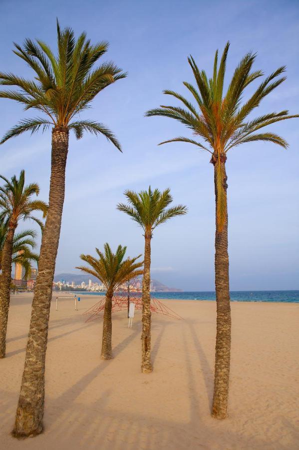 Ibis Alicante