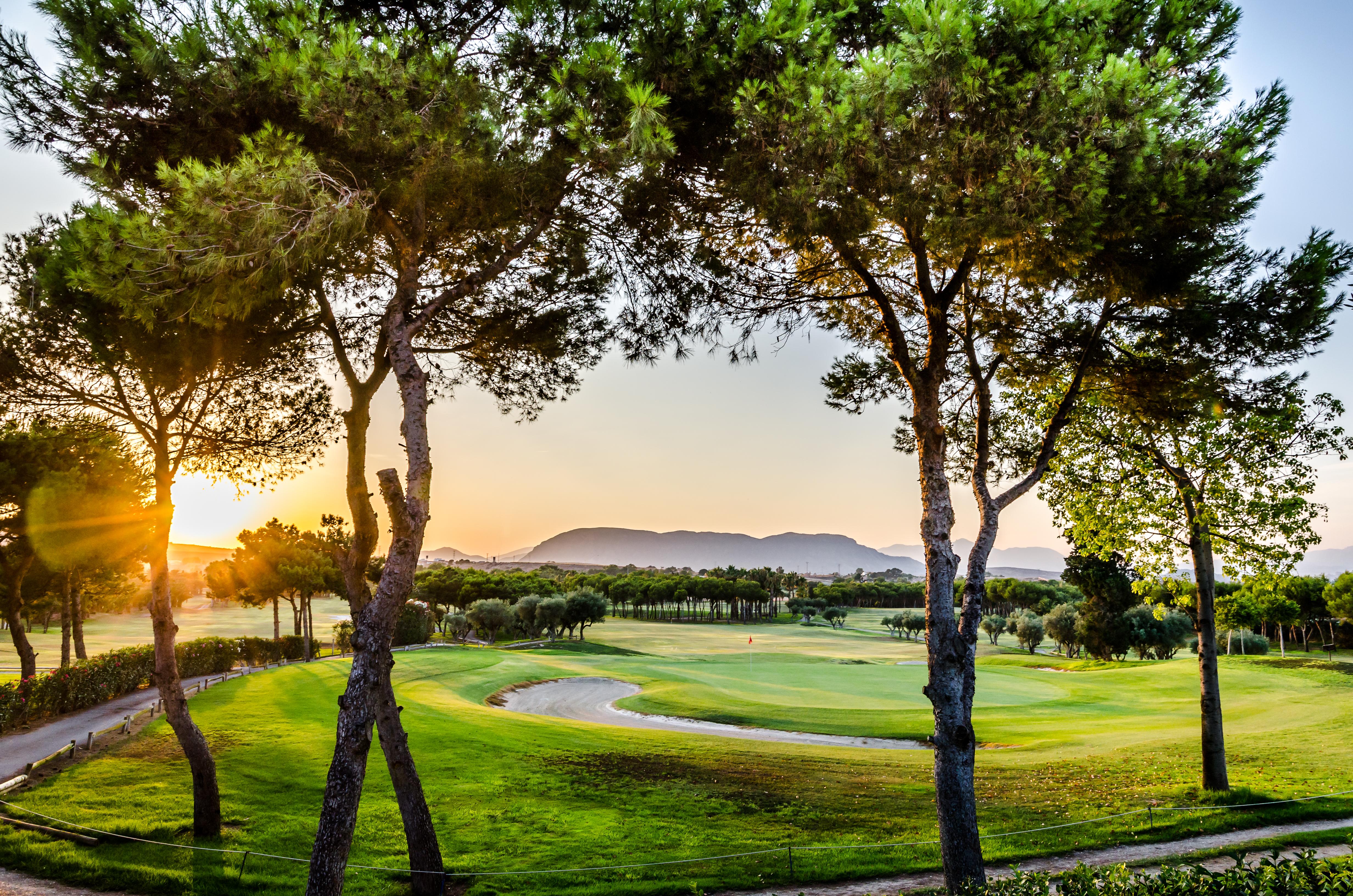 El Plantio Golf 4* Alicante