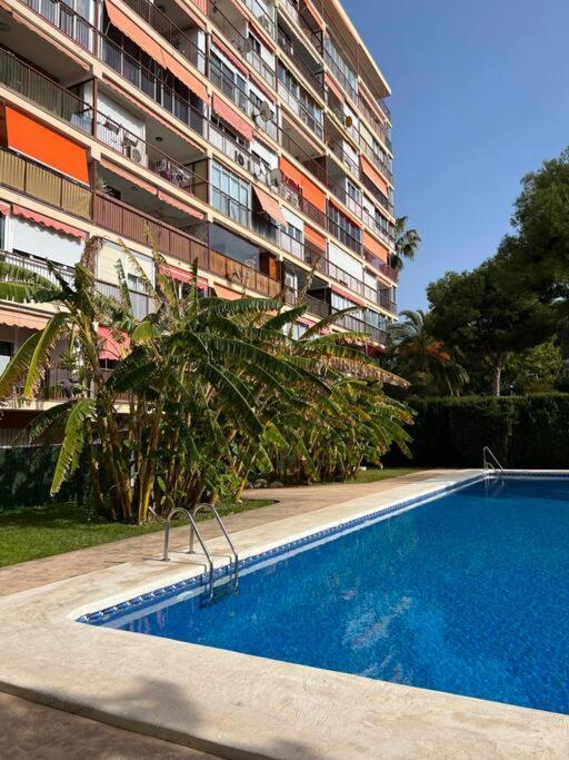 Apartamento Levante Apartamento *