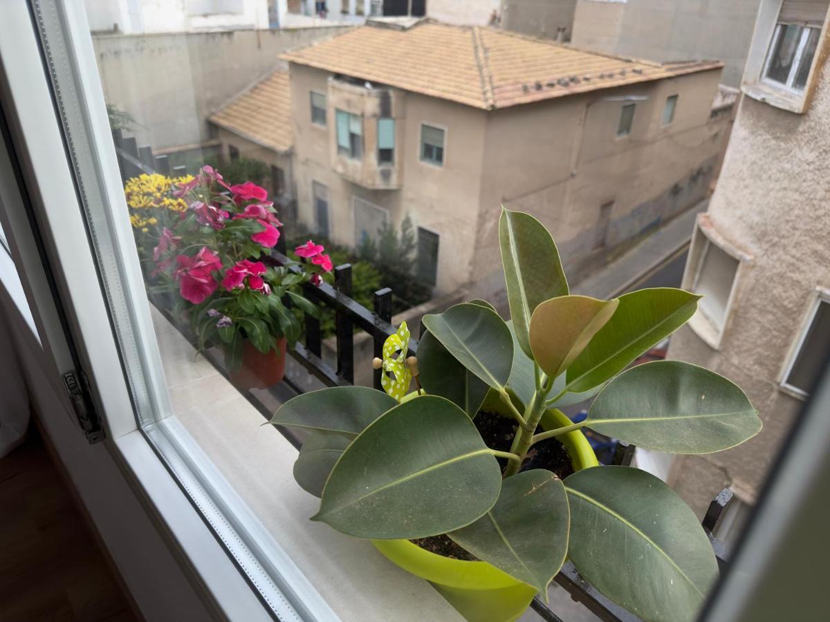 Apartment Antonio *