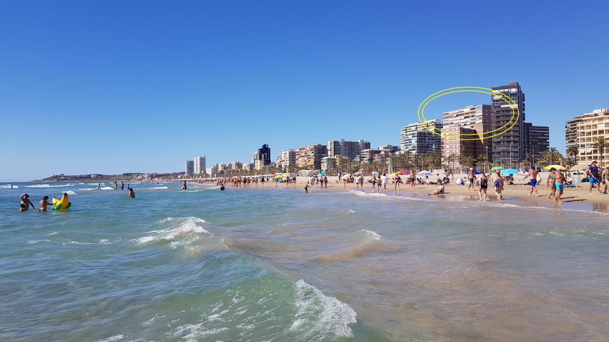 Nereo 13 * Alicante