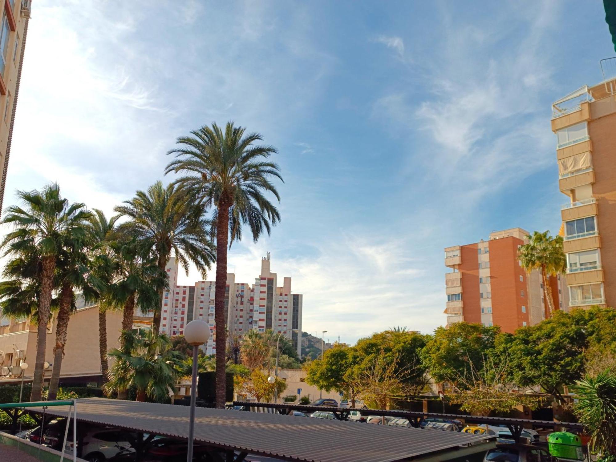 En La Playa - Alicante, Costa Blanca - Olivos Apartamento Alicante