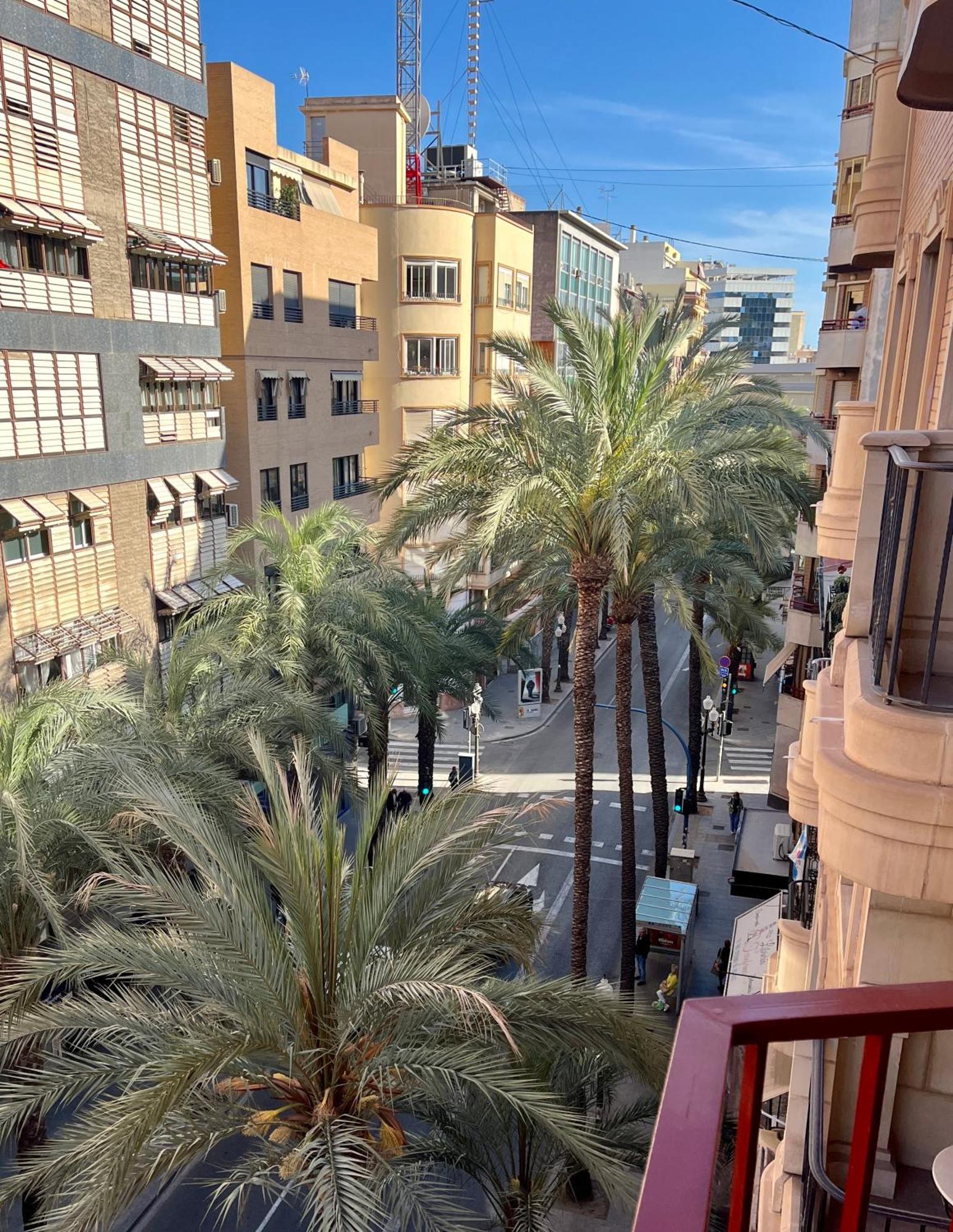 Apartment Market Living Alicante