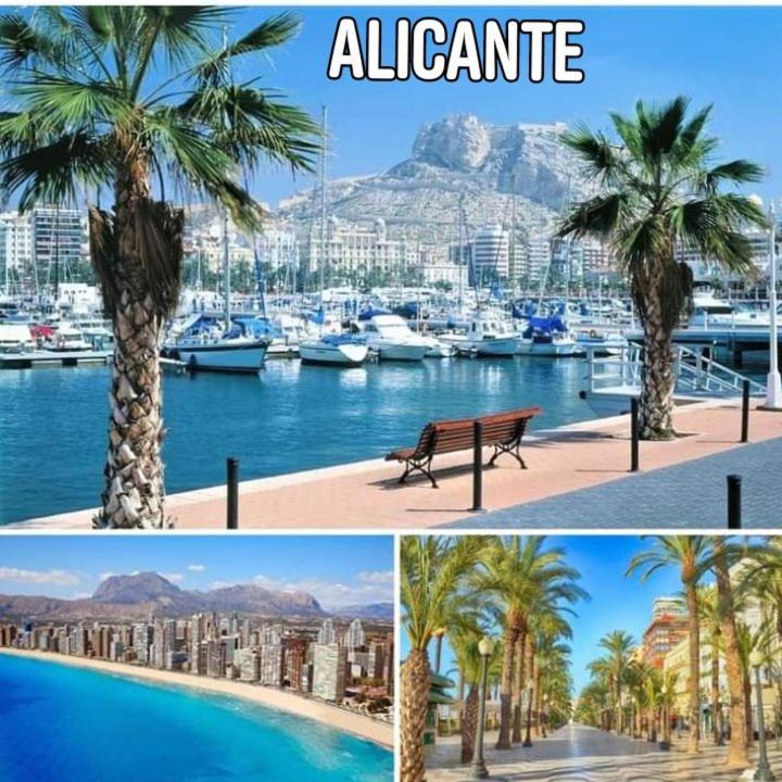 Apartamento Magic - Alicante