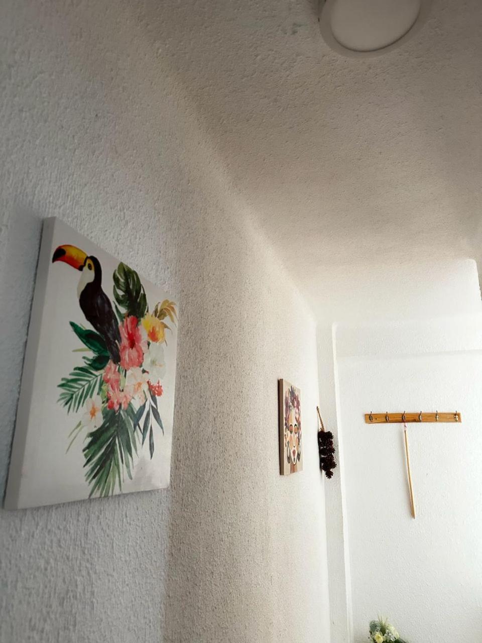 Apartamento Afrodita
