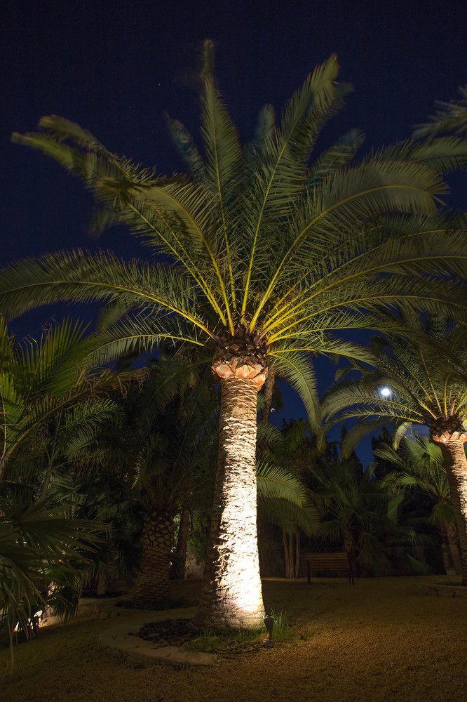 Apartamento El Palmeral De Madaria