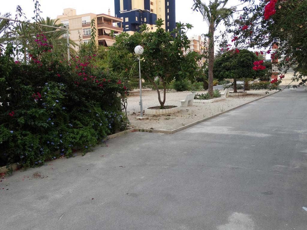 Falcon Apartment Alicante