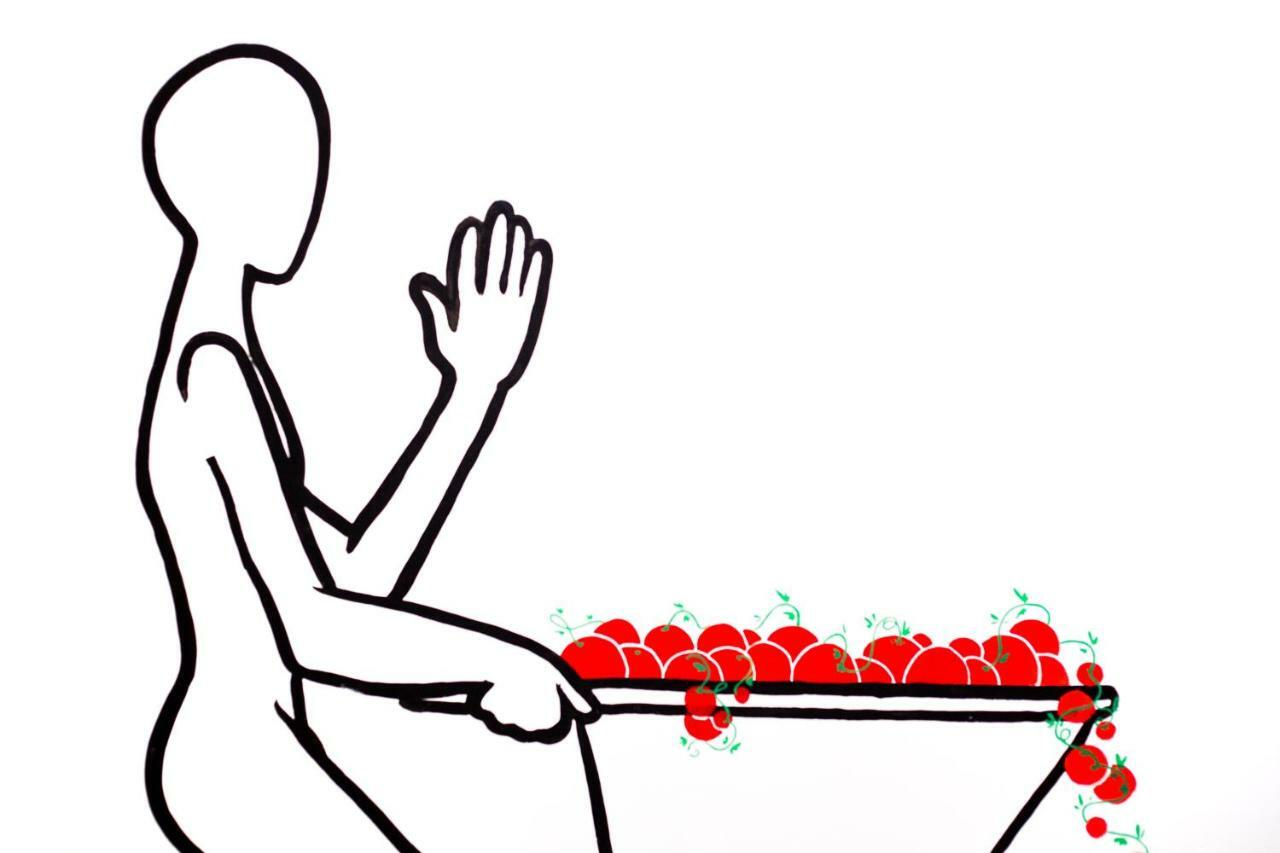 Tomate