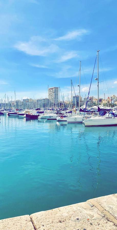 Casacec * Alicante