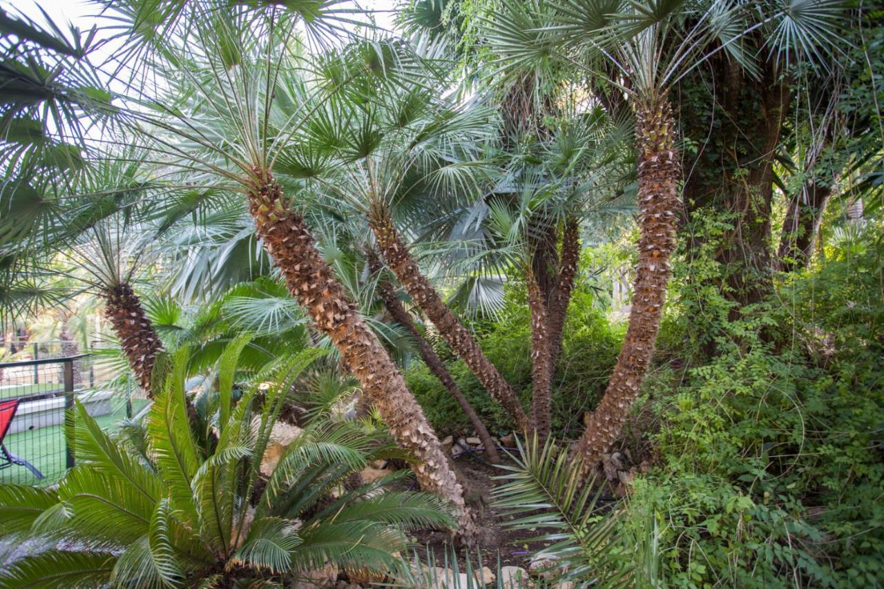 El Palmeral De Madaria Apartamento *