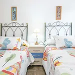 Delfín san juan