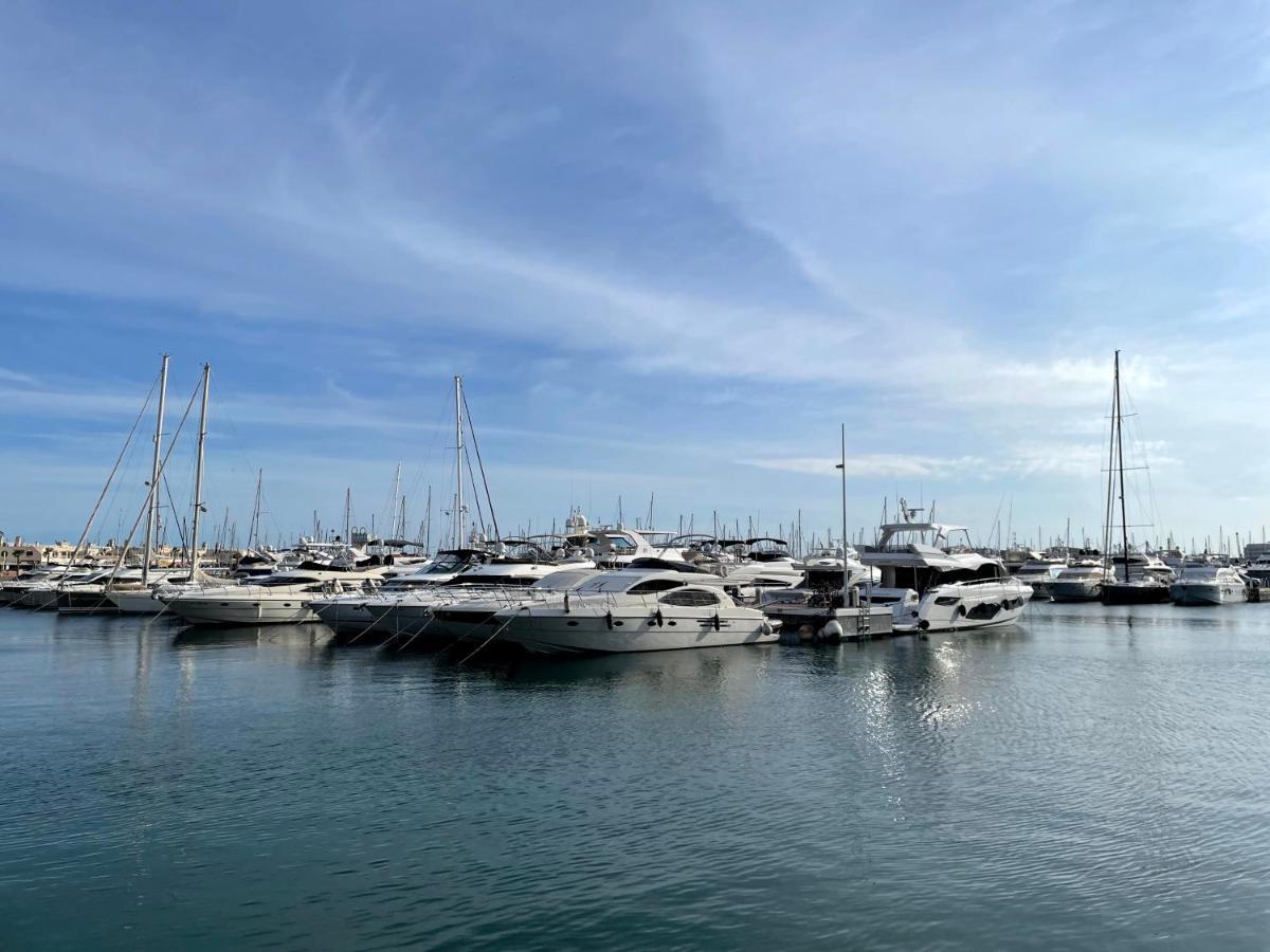 Haroldo Parres 17 Apartamento Alicante