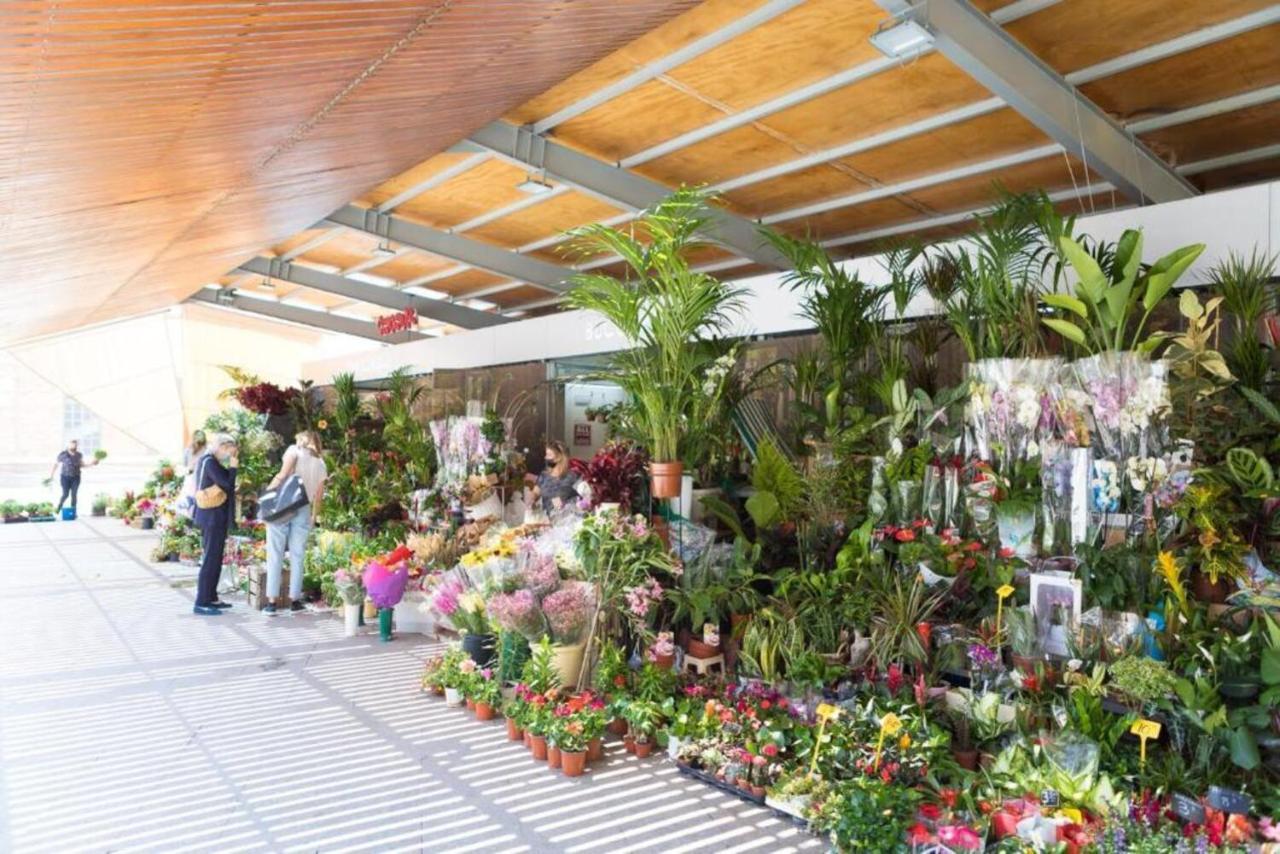 Moonkey - El Mercado Alicante