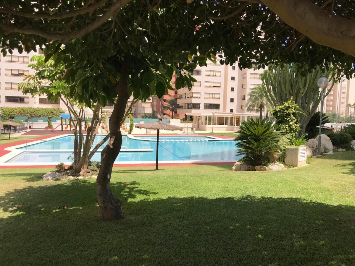 Playa Dos Avenidas Apartment *