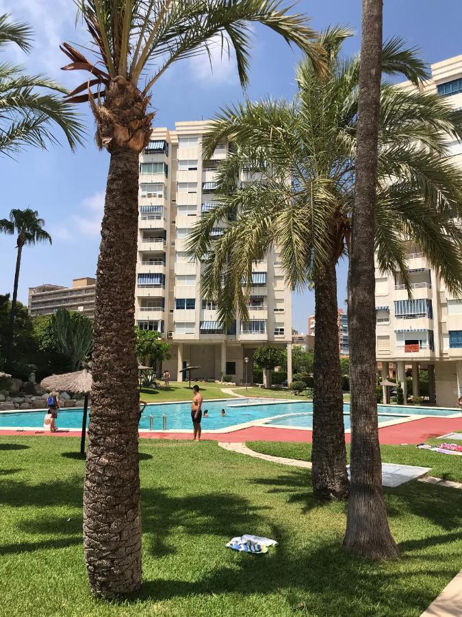 Apartment Playa Dos Avenidas Alicante