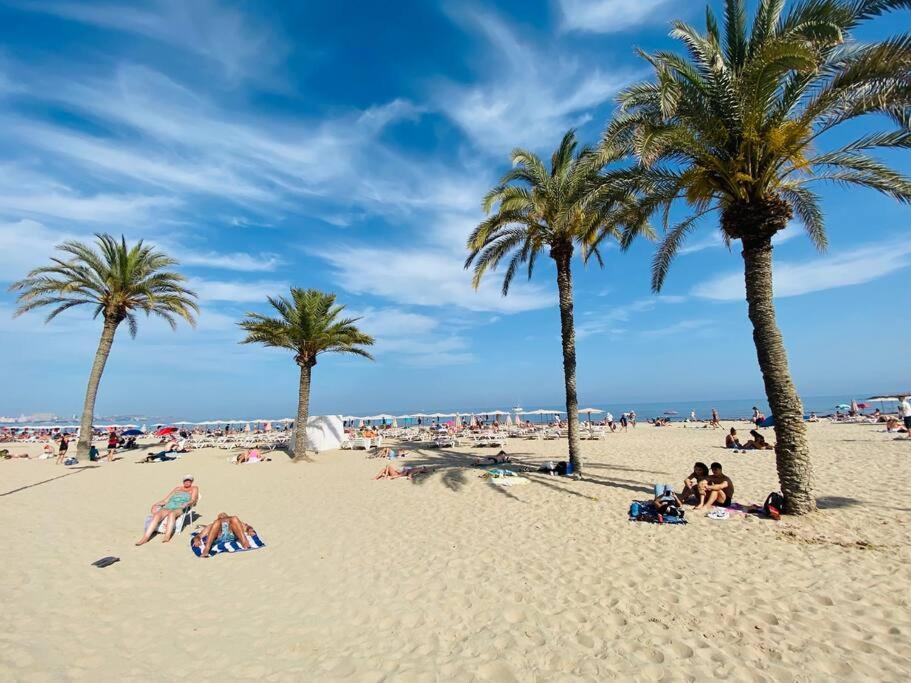 Center Apartment Alicante