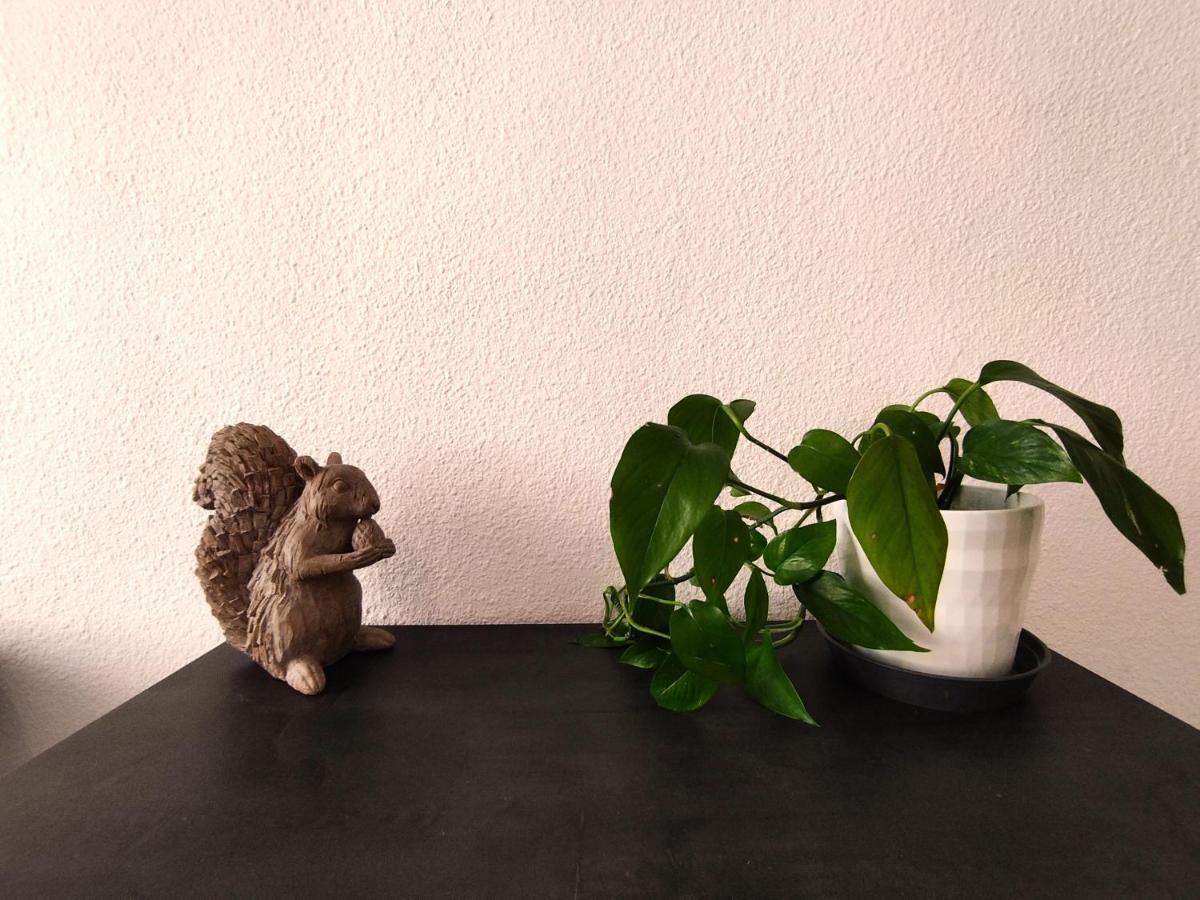 Shared With Host Habitación en casa particular Alicante