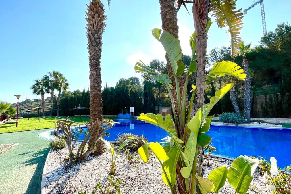 Apartamento 12-apartamento En La Playa Piscina