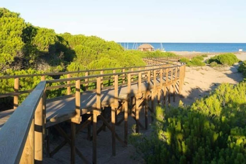 12-apartamento En La Playa Piscina Apartamento