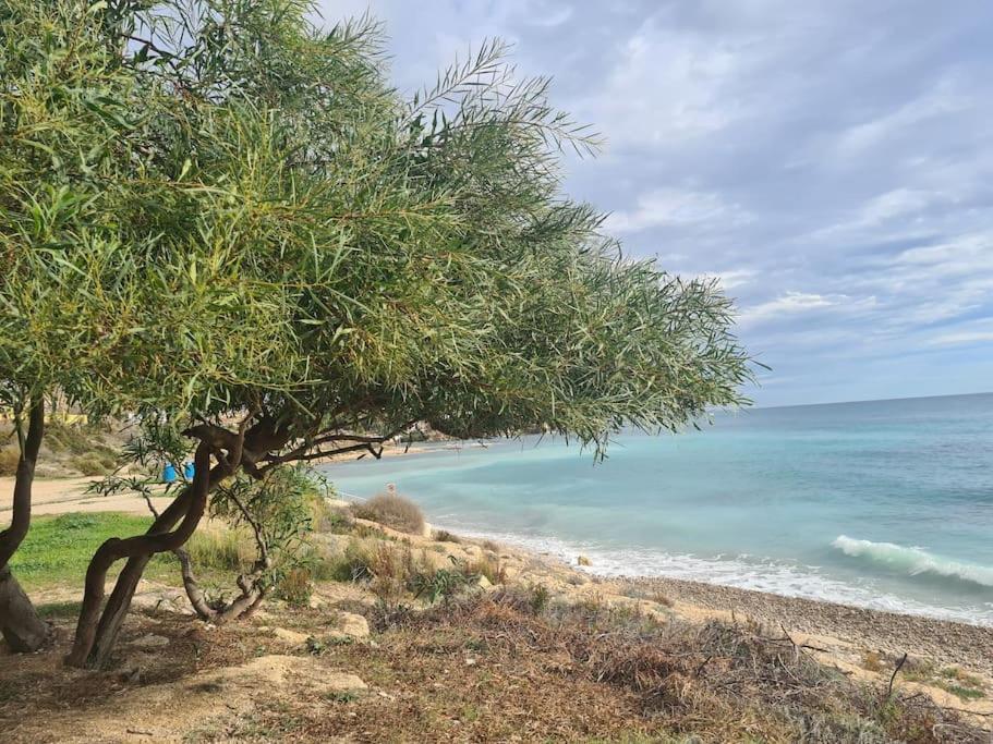 Alkabir Playa Kate's House *