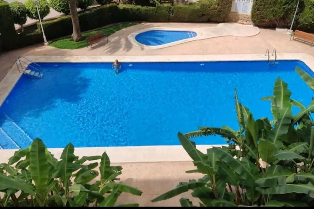 Apartamento Cangrejo *