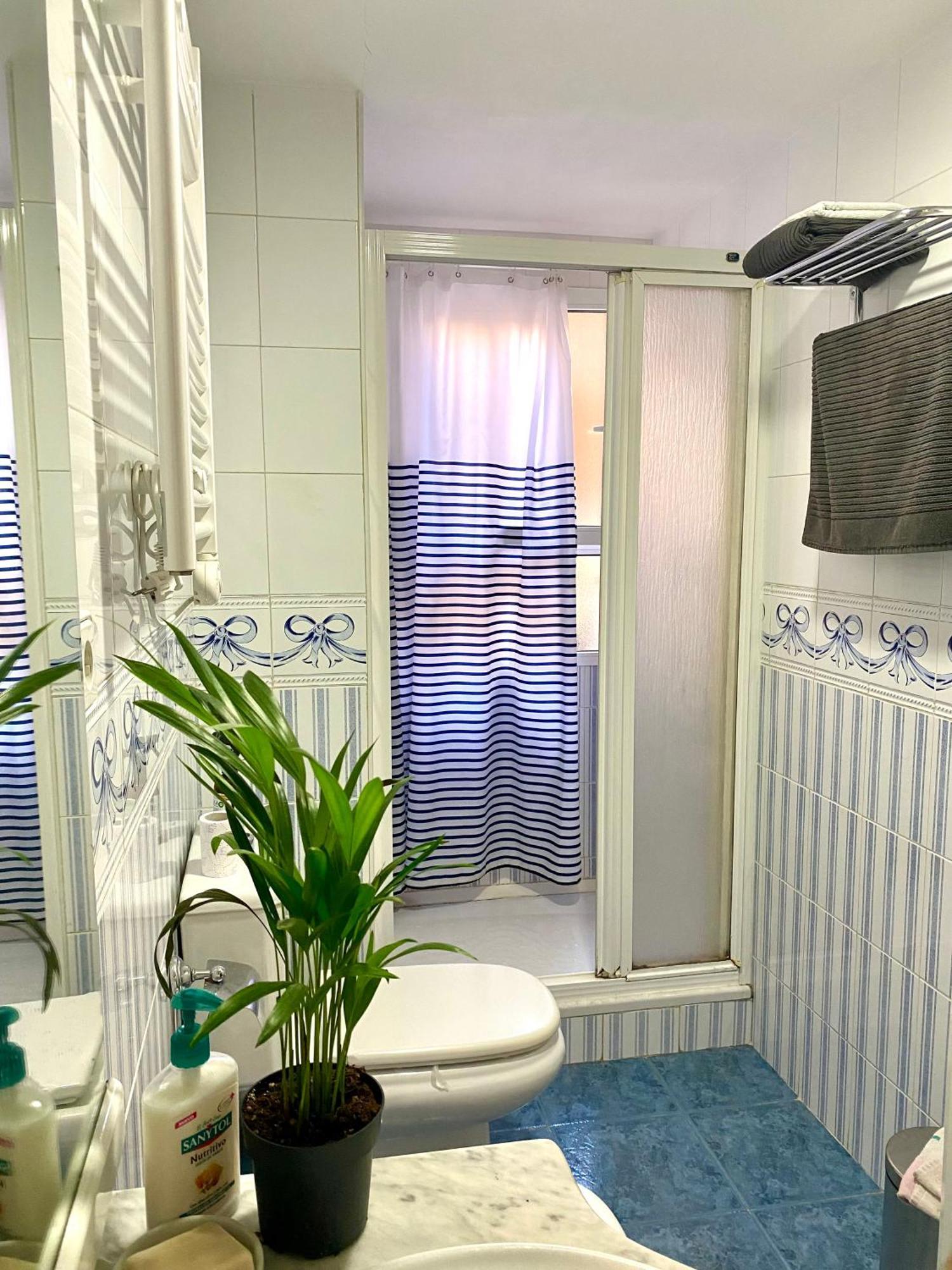 Homestay Habitacion My Alicante