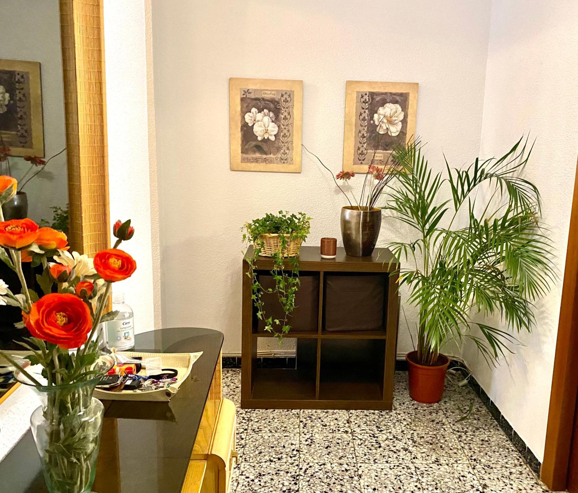 Homestay Habitacion My Alicante