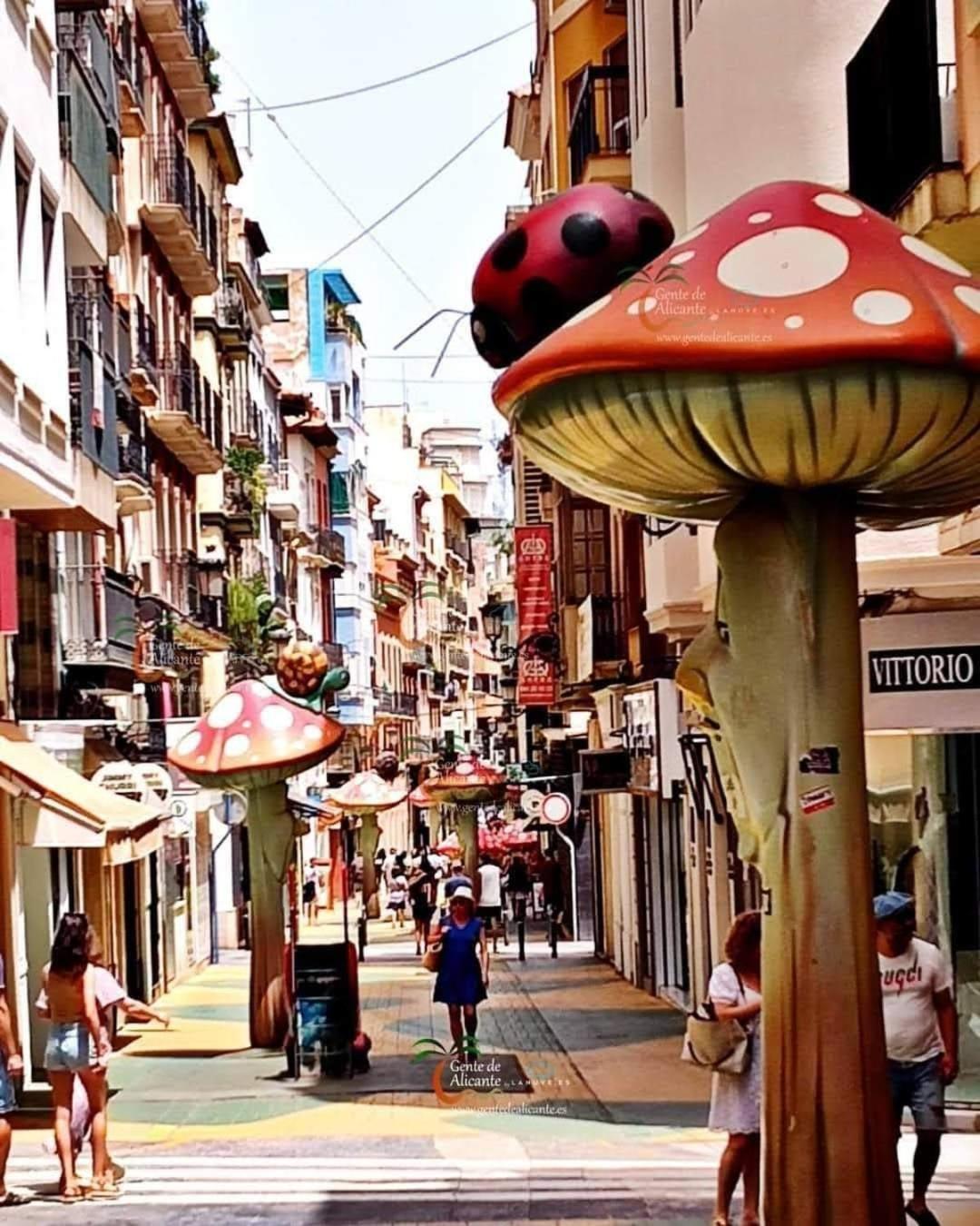 Apartamento Carlota