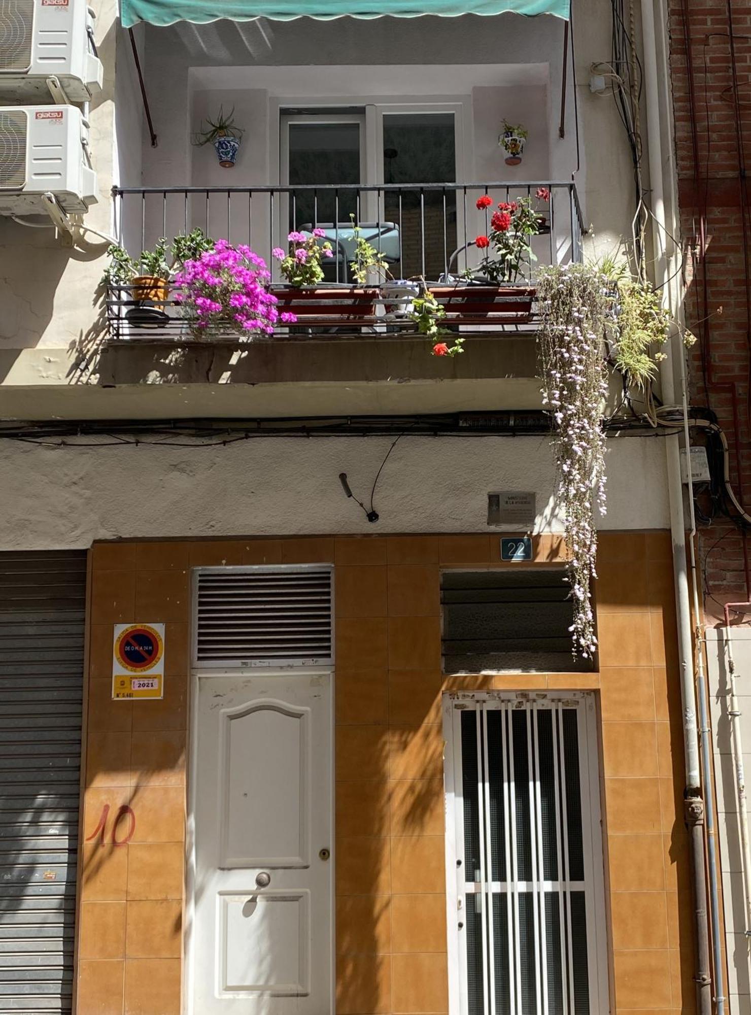 Apartamento Carlota Alicante