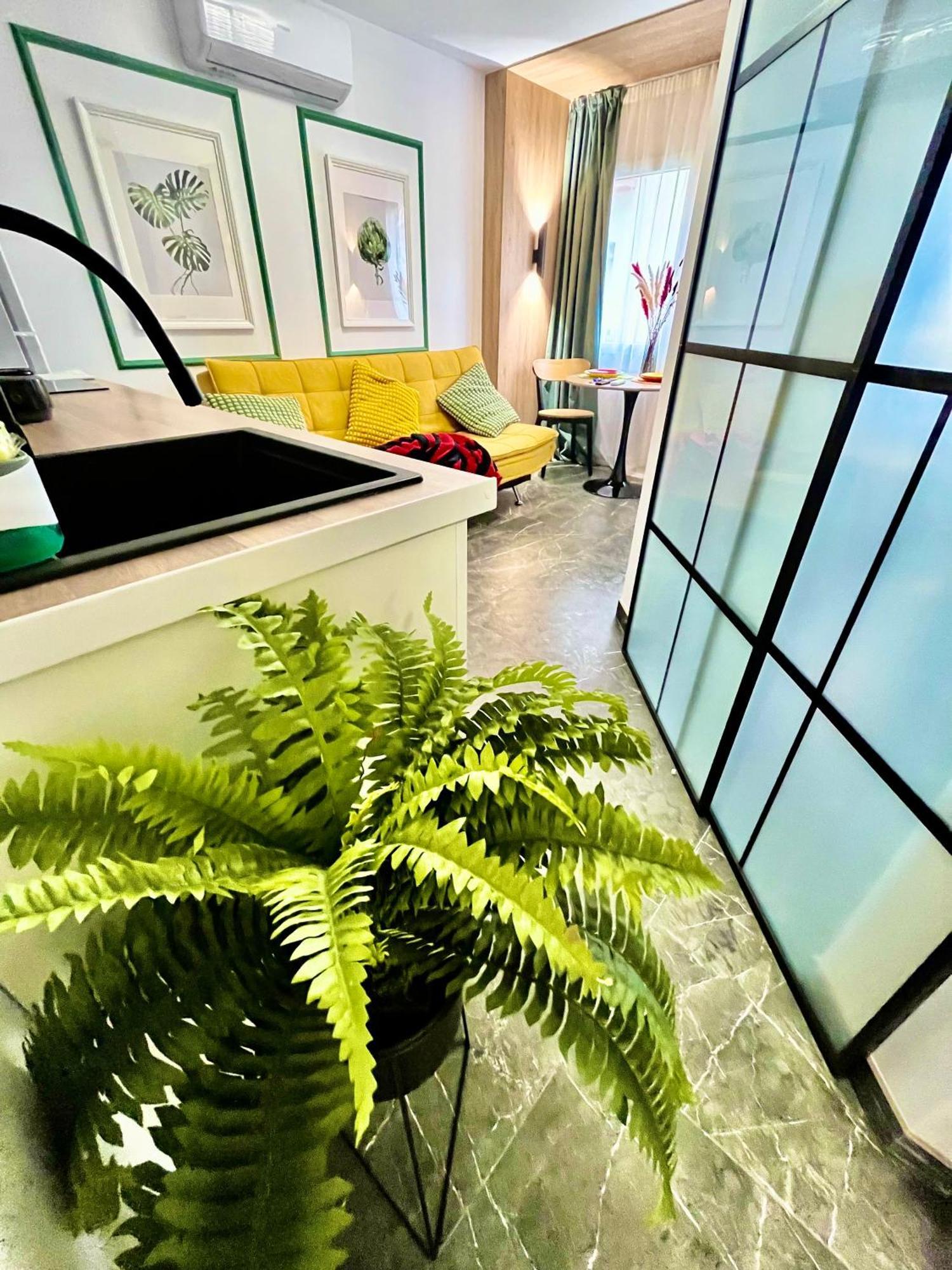 Arte Dos Colores Apartamento