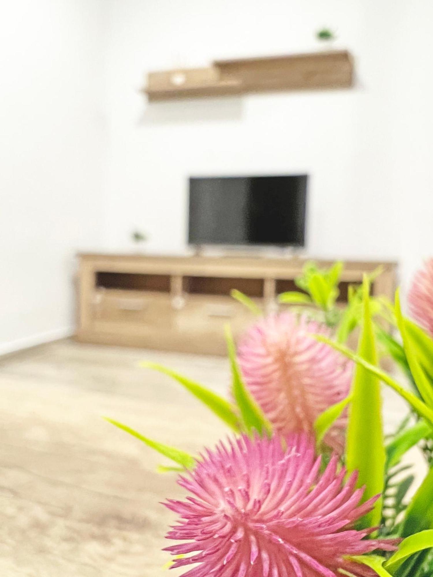 Restaurado De 3 Y Ac Apartamento *