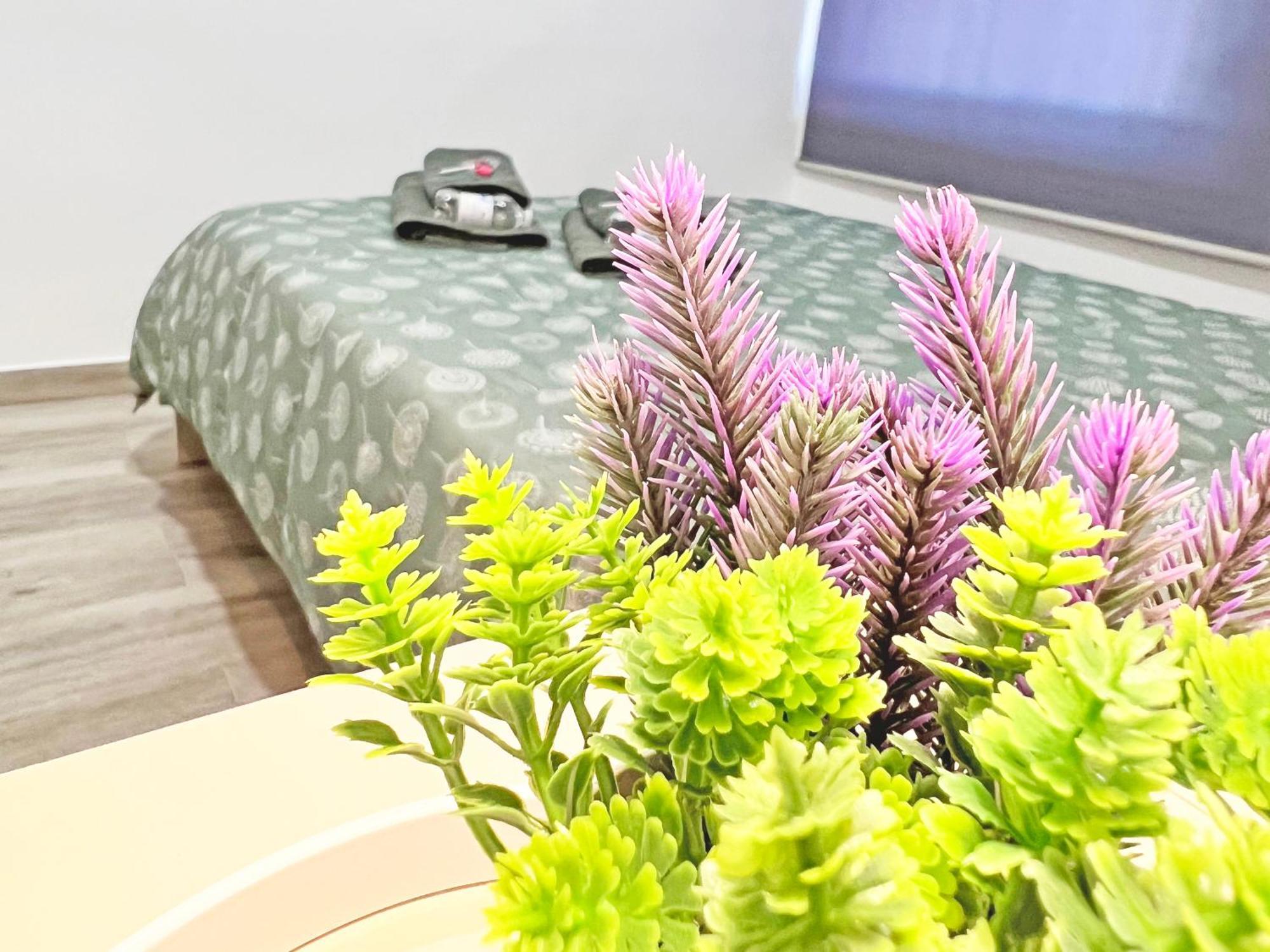 Apartamento Restaurado De 3 Y Ac *