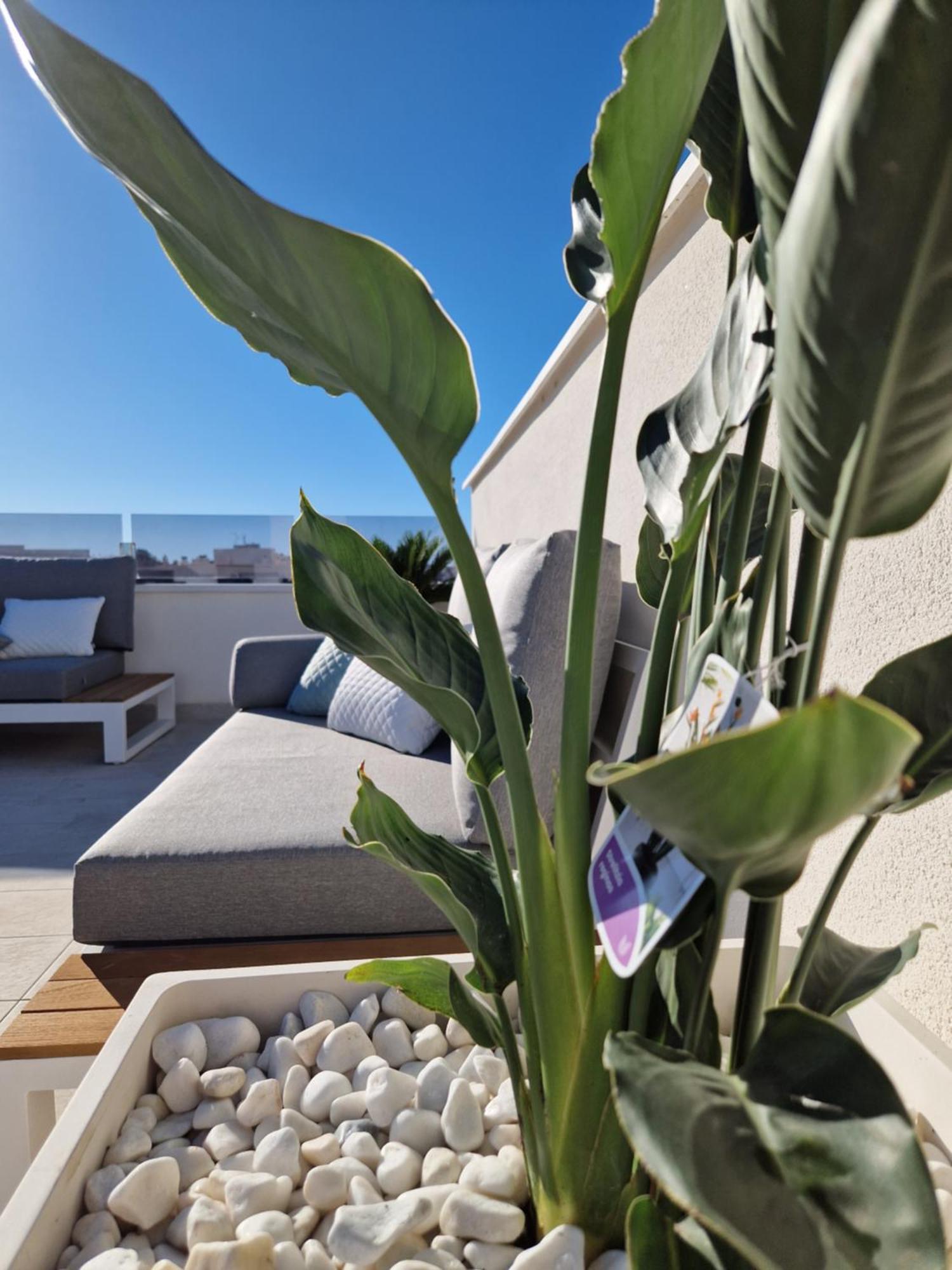 Apartment Penthouse Prestigio Alicante