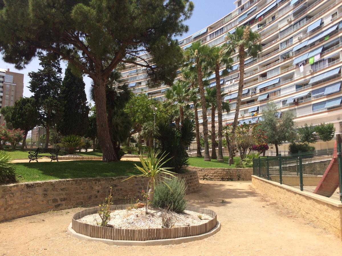 Club Del Mar San Juan * Alicante