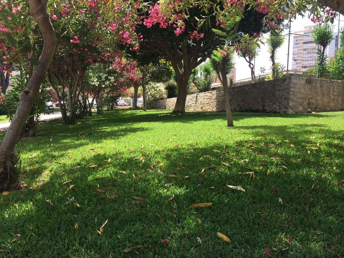 Apartamento Club Del Mar San Juan *