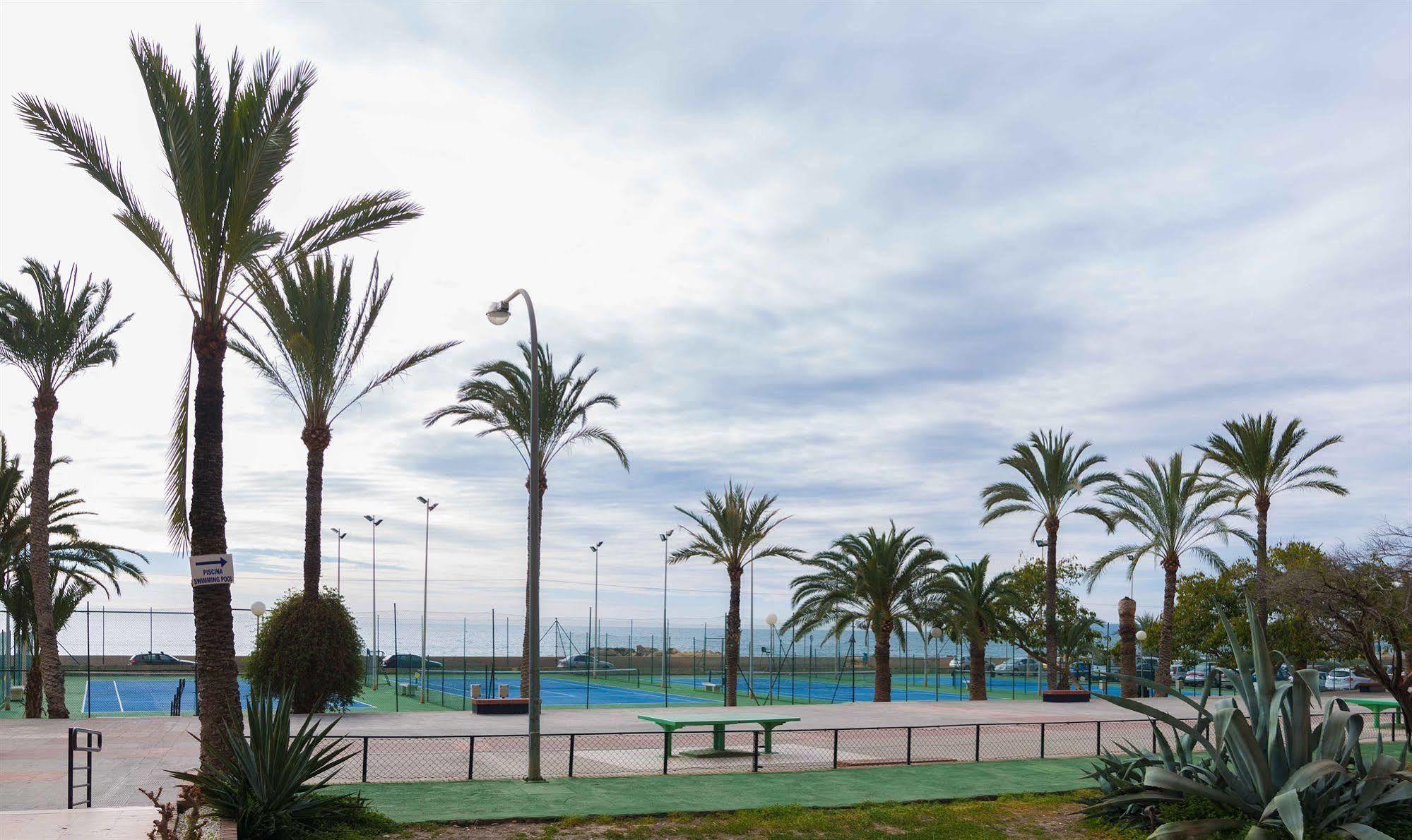 Albahia 3*