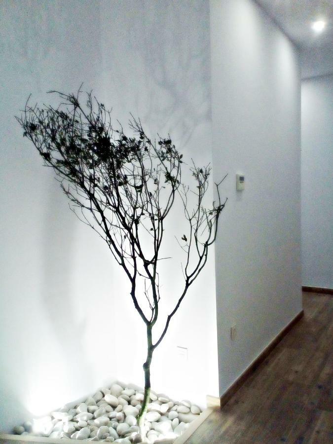 Sunny Apartamento *